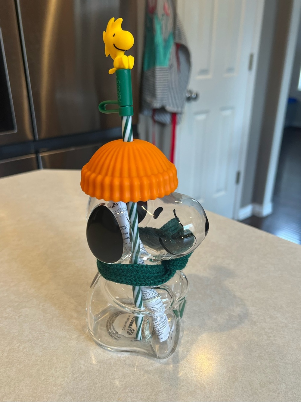 Starbucks x Peanuts Snoopy Glass Cold Cup Woodstock 2026 NEW